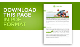 Download this page in PDF format